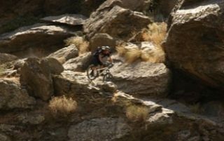  View of the bike tour 